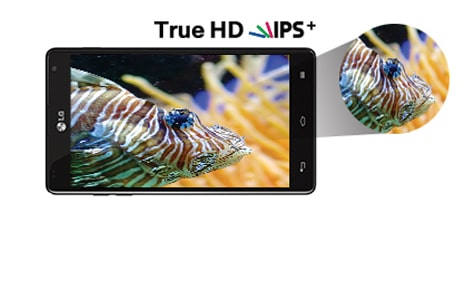 NITIDEZ Y COLORES REALES EN EL TAMAÑO PRECISO